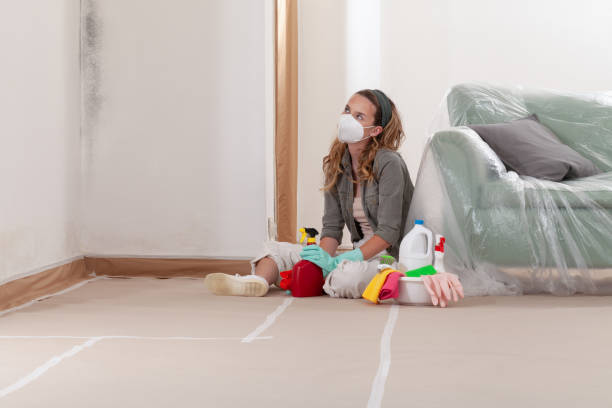 Reliable Mold Remediation contractor in Hanscom AFB, MA by Cheap Mold Removal